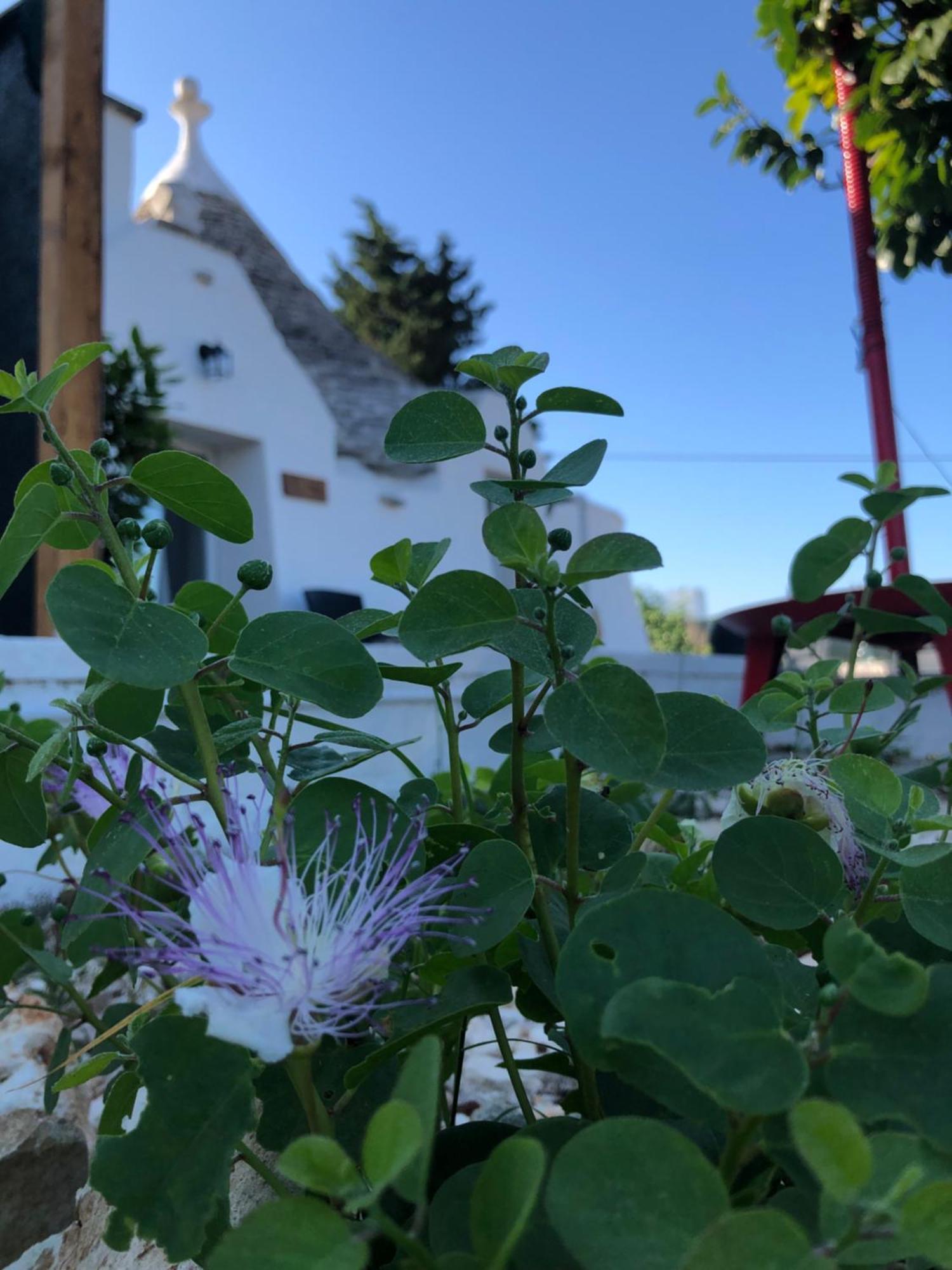 Trullo Trilli Puglia Villa Martina Franca Buitenkant foto