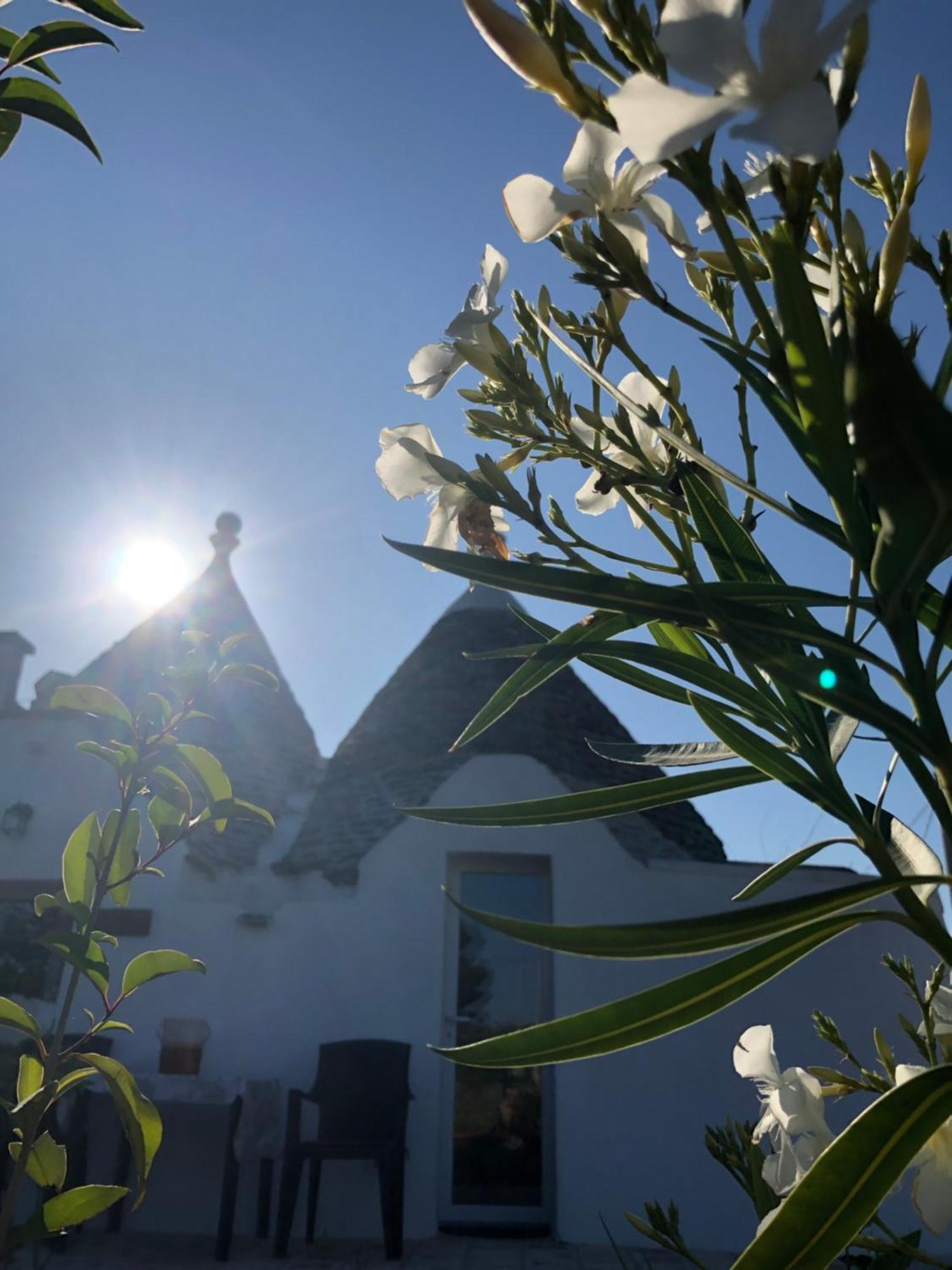 Trullo Trilli Puglia Villa Martina Franca Buitenkant foto