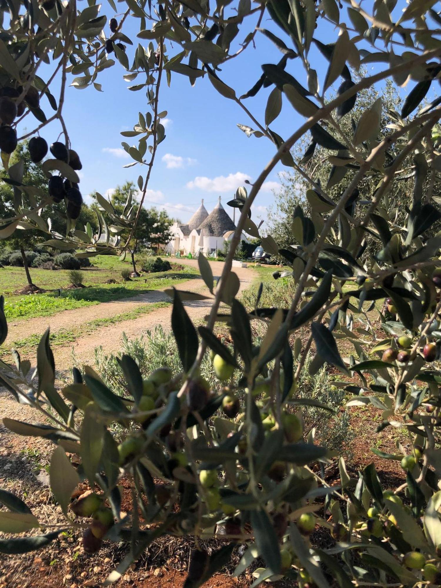 Trullo Trilli Puglia Villa Martina Franca Buitenkant foto
