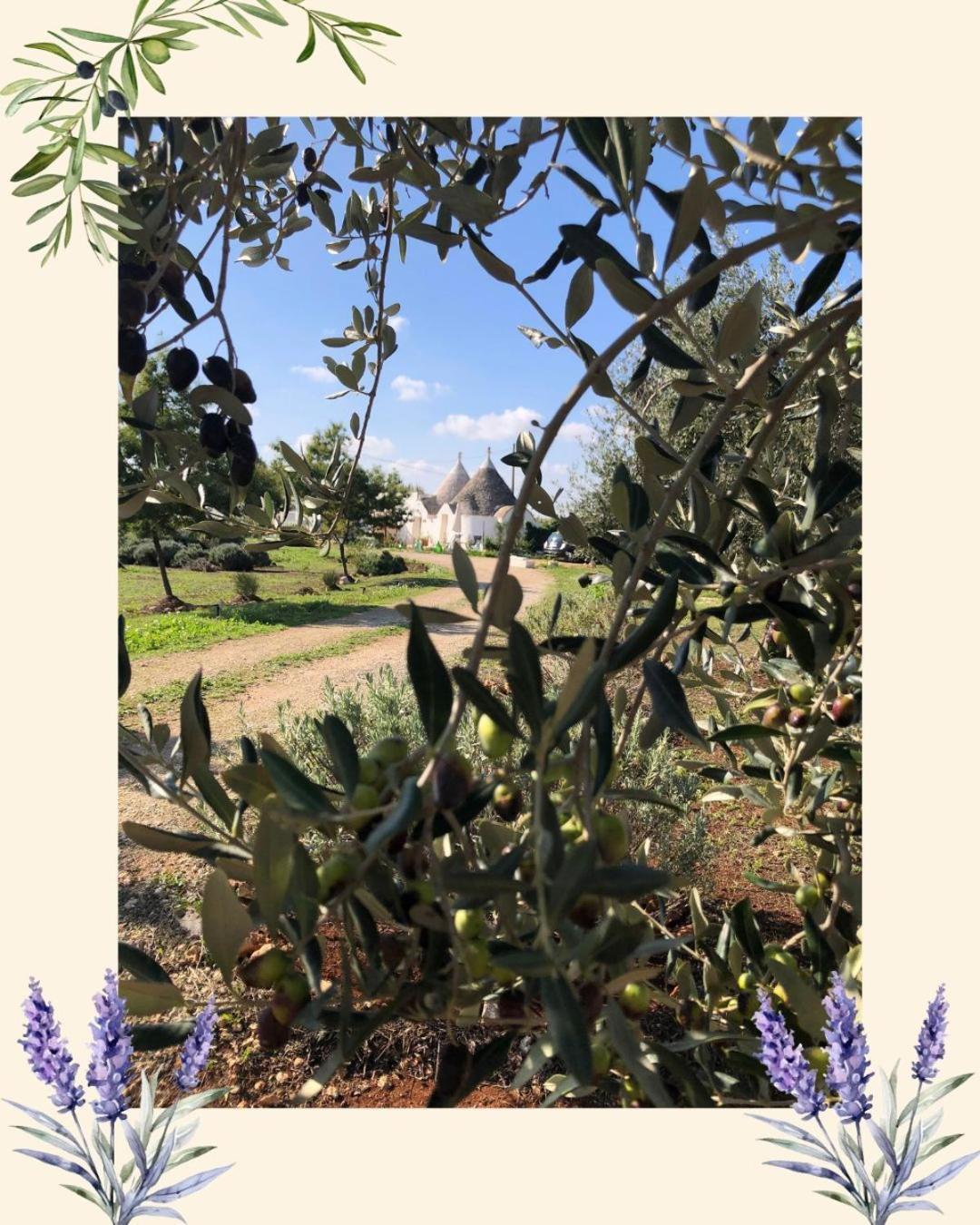 Trullo Trilli Puglia Villa Martina Franca Buitenkant foto